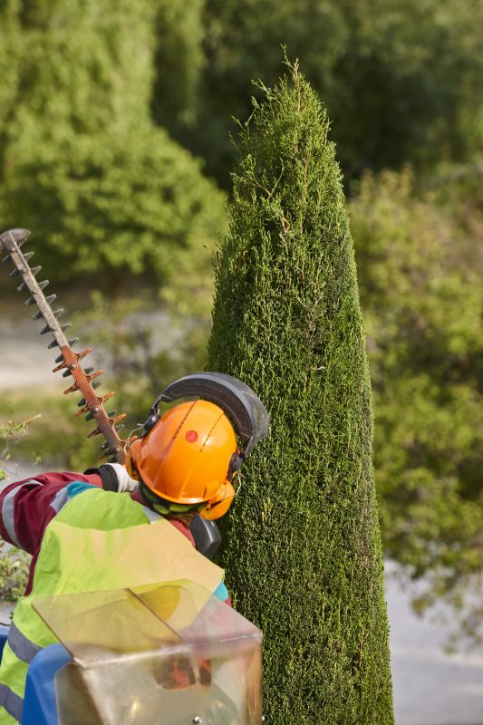 Fruit Tree Trimming Costs — Cost of Fruit Tree Trimming