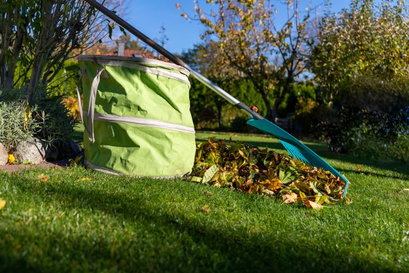 Collected Leaves in Bags