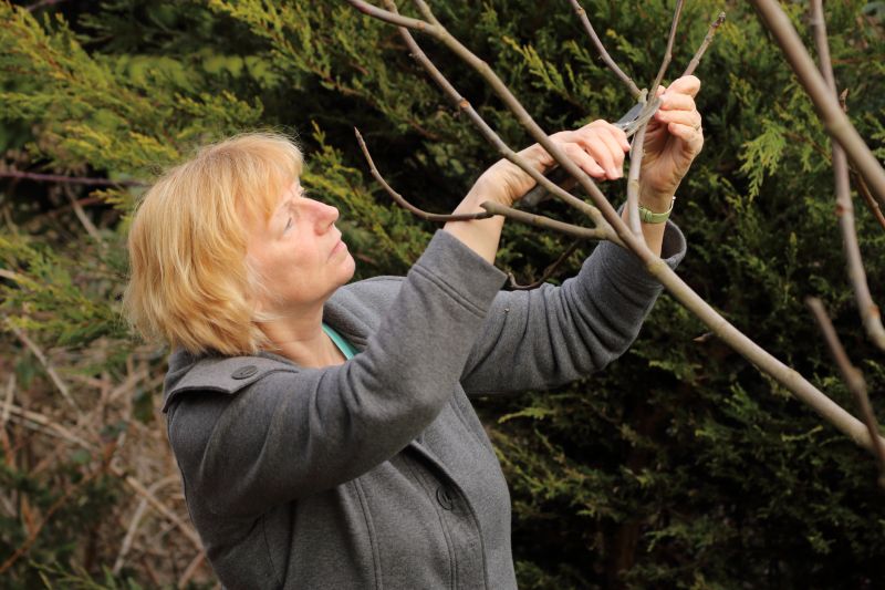 Fruit Tree Trimming Tips and Techniques